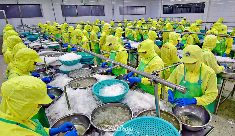 Tình hình kinh tế – xã hội tháng 5 và 5 tháng đầu năm 2022. Ảnh minh họa