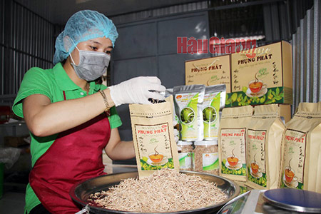 Sản phẩm trà mãng cầu cũng tăng doanh số bán ra nhờ thực hiện theo chuẩn OCOP. Ảnh: T.TRÚC
