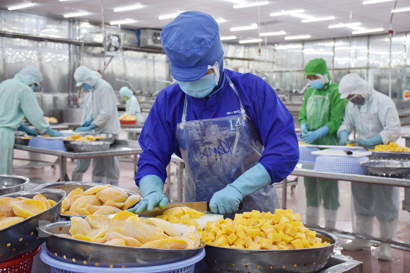 Tính chung 4 tháng đầu năm 2022, số doanh nghiệp thành lập mới tăng 12,3% so với cùng kỳ năm 2021. Ảnh minh họa