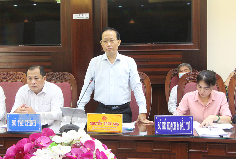 Phó Chủ tịch Thường trực UBND tỉnh - Trưởng đoàn đại biểu Quốc hội tỉnh Nguyễn Trúc Sơn phát biểu. Ảnh: Phương Thảo