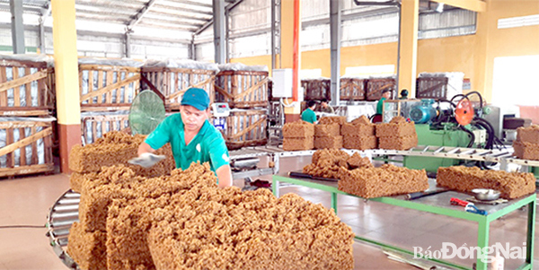 Cao su là một trong những mặt hàng có tiềm năng tăng trưởng xuất khẩu tốt. Ảnh: V.Gia