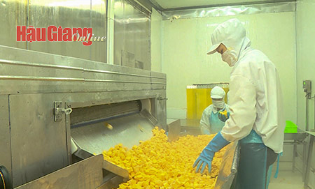 Hậu Giang ưu tiên kêu gọi các doanh nghiệp chế biến nông sản. Ảnh: Nguyên Toàn