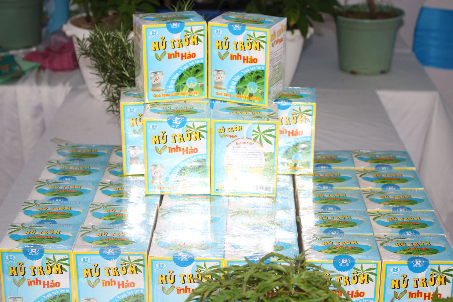 Có thể hình thành doanh nghiệp khoa học công nghệ từ sản phẩm lợi thế của tỉnh Bình Thuận. Ảnh: Thái Khoa