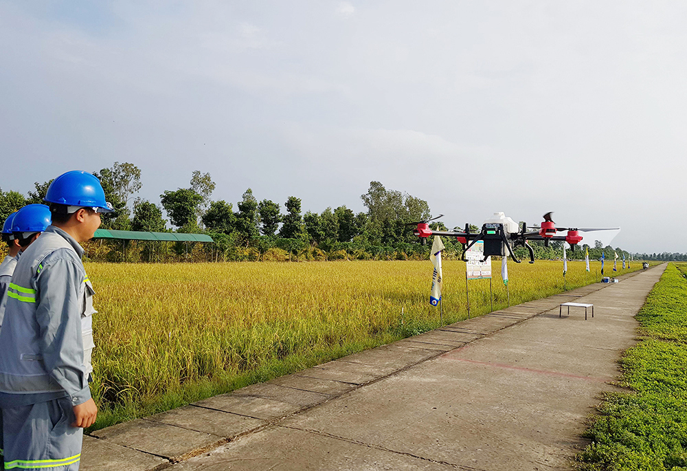 An Giang hướng đến nông nghiệp bền vững. Ảnh: Ngô Chuẩn