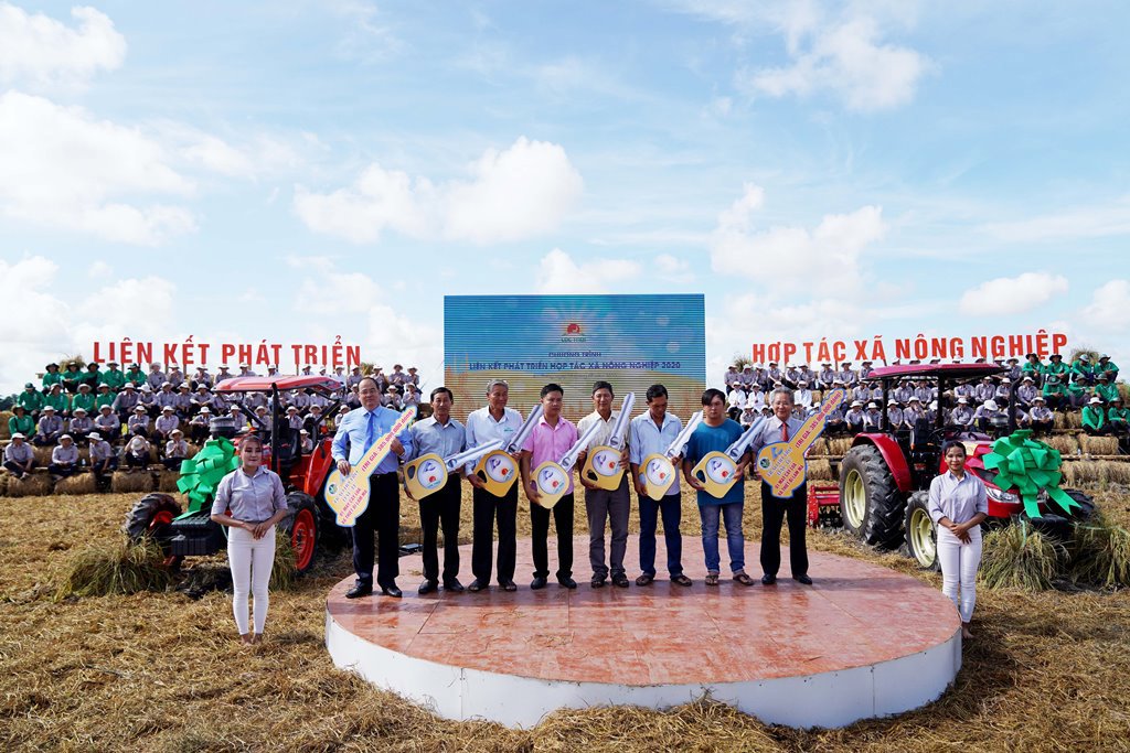 An Giang chú trọng phát triển nông nghiệp theo hướng hiện đại. Ảnh Ngô Chuẩn