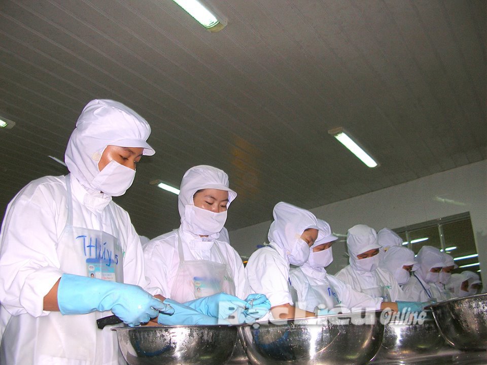 Chế biến thủy sản xuất khẩu - một trong những ngành nghề có tỷ lệ doanh nghiệp trốn đóng BHXH, BHYT và BHTN cho người lao động khá cao. Ảnh: T.A