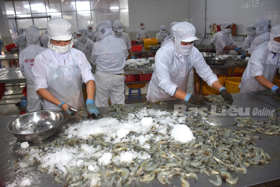 Chế biến tôm xuất khẩu - một trong những lĩnh vực góp phần cho tăng trưởng kinh tế trong 6 tháng đầu năm 2021. Ảnh: Lư Trung