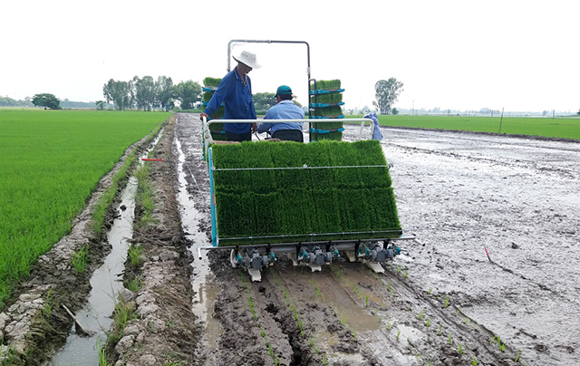 Quỹ hỗ trợ nông dân kịp thời “tiếp sức” cho nhiều hộ trồng lúa theo hướng an toàn.