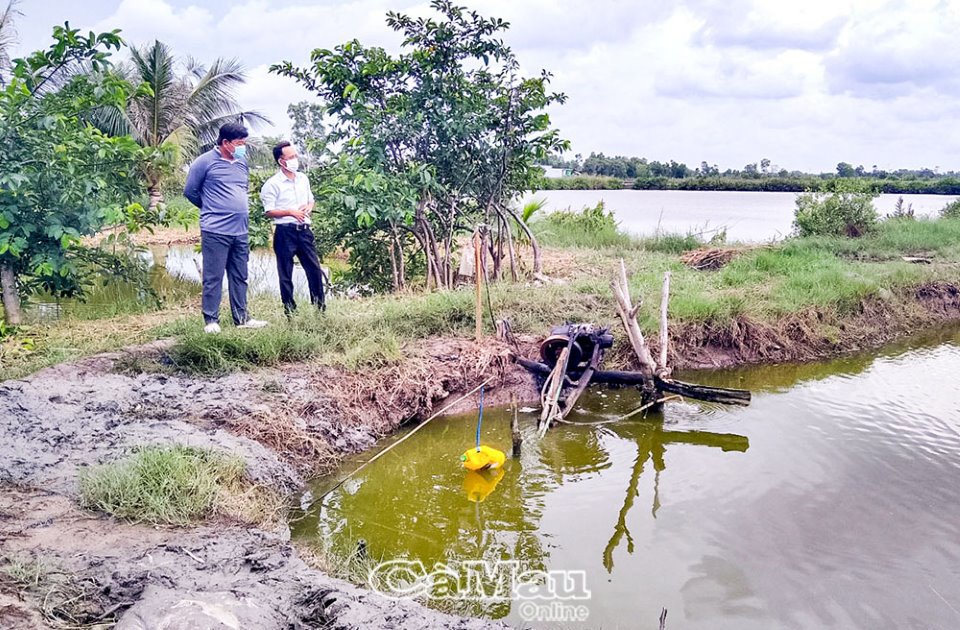 Ông Nguyễn Văn Toàn (bên trái), Chủ tịch HÐQT HTX Dịch vụ Nông nghiệp và Thuỷ sản Ông Muộn, ấp Ông Muộn, xã Lý Văn Lâm, TP. Cà Mau, tát nước rửa mặn, phơi đầm chuẩn bị sạ lúa trên đất nuôi tôm. Ảnh: Ðặng Duẩn