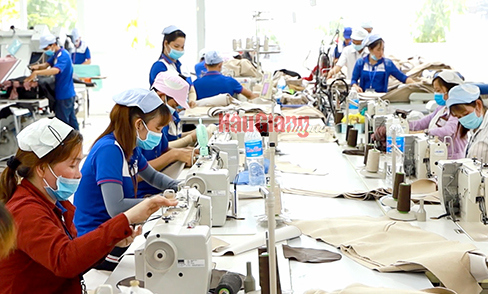 Doanh nghiệp trong tỉnh Hậu Giang đang nỗ lực vượt khó, sản xuất trong bối cảnh gặp nhiều khó khăn. Ảnh: Nguyên Toàn