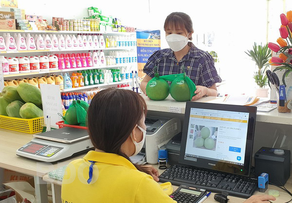 Nhân viên Bưu điện tỉnh đang chốt đơn trên sàn Postmart.vn mặt hàng bưởi da xanh và đu đủ Hoài Ân. Ảnh: H.Y