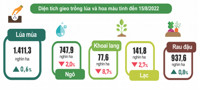 Tình hình kinh tế xã hội tháng 8 và 8 tháng năm 2022 - Ảnh 1