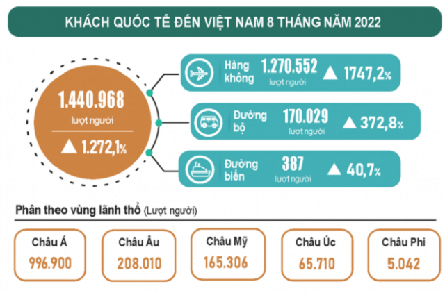 Tình hình kinh tế xã hội tháng 8 và 8 tháng năm 2022 - Ảnh 10