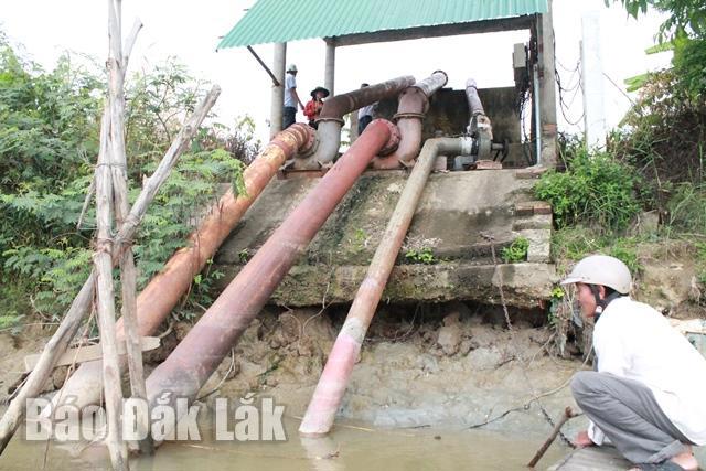Sạt lở bên bờ sông Krông Ana. Ảnh Thúy Hồng