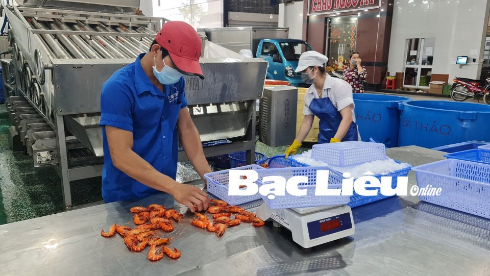 Doanh nghiệp chế biến thủy sản - một trong những đối tượng được giảm giá điện đợt 5. Ảnh: M.ĐẢnh: Kim Kim