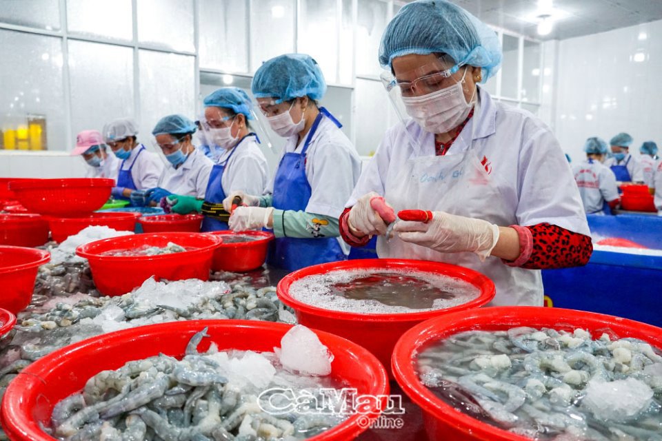 Nhiều doanh nghiệp ảnh hưởng nghiêm trọng bởi dịch Covid-19 khiến nguồn thu ngân sách tháng 8 giảm sâu. Ảnh: Đào Hồng