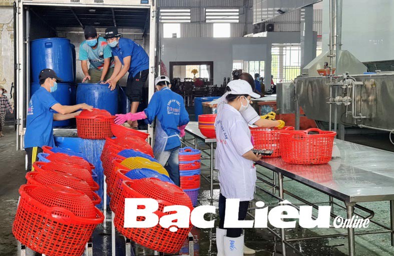 Doanh nghiệp chế biến thủy sản hoạt động trong mùa dịch. Ảnh: M.Đ