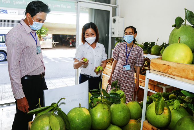 Hội Nông dân tỉnh hỗ trợ tiêu thụ một số loại nông sản cho hội viên, nông dân. Ảnh: Hồng Đăng