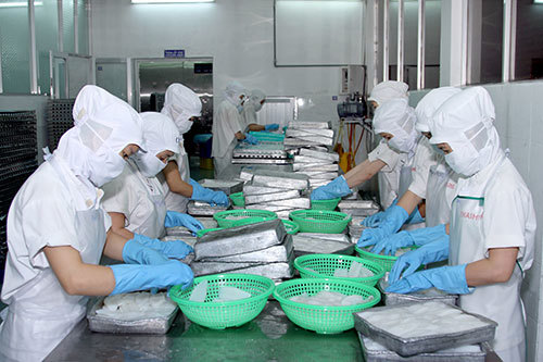 Doanh nghiệp chế biển hải sản xuất khẩu gặp nhiều khó khăn. Ảnh: Hồ Nhật