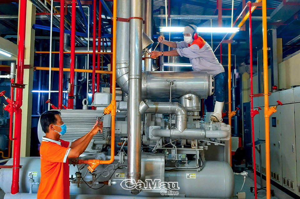 Lao động qua đào tạo đáp ứng nhu cầu là vấn đề được các tỉnh, thành, trong đó có Cà Mau quan tâm, nhằm đáp ứng tốt hơn nhu cầu việc làm trong giai đoạn tới. Ảnh: PP