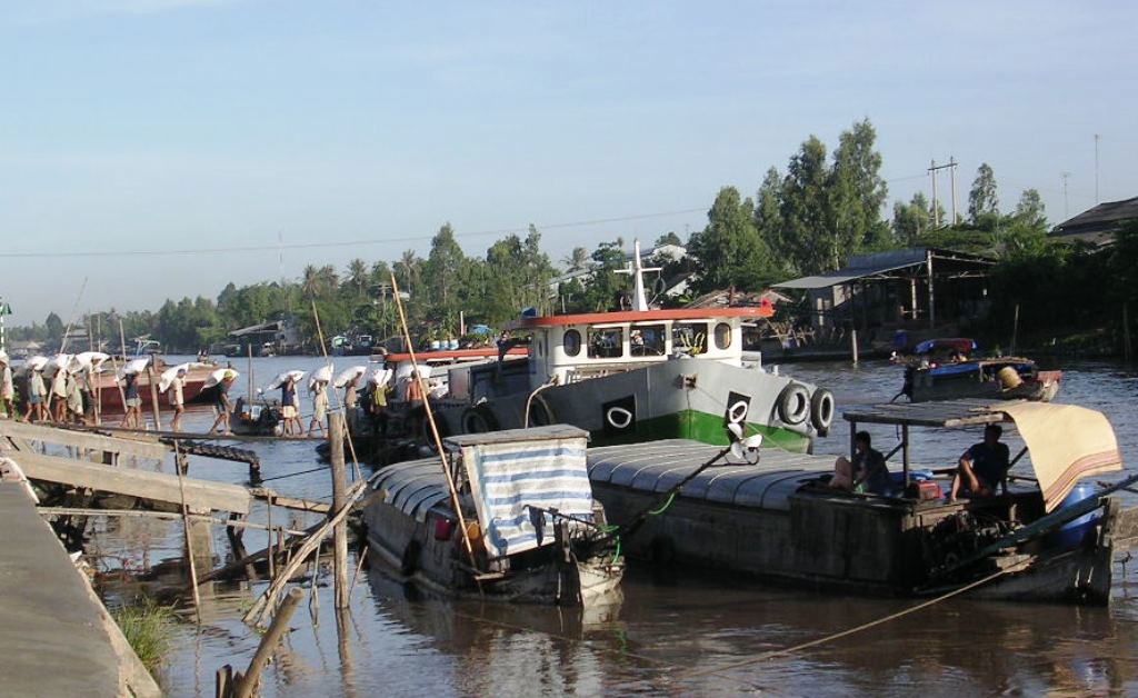 Các doanh nghiệp thu mua lúa gạo phục vụ xuất khẩu ở An Giang. Ảnh: Phước Bình