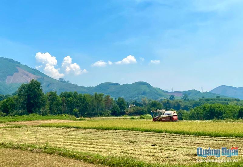 Dồn điền đổi thửa, chỉnh trang đồng ruộng, tạo điều kiện thuận lợi để đưa cơ giới hóa vào sản xuất. Ảnh: Hồng Hoa