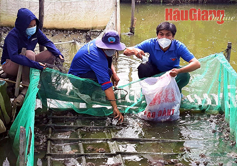 Nhiều mô hình sản xuất hiệu quả, góp phần thúc đẩy kinh tế nông thôn phát triển vượt bậc. Ảnh: Mộng Toàn