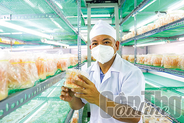 HTX Giọt Phù Sa cập nhật nhật ký trồng nấm đông trùng hạ thảo, dán tem QR Code trên bao bì sản phẩm. Ảnh: MH