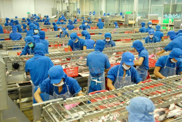 Chỉ có 30% doanh nghiệp chế biến thủy sản còn trụ được “3 tại chỗ”. Ảnh: Thời Đại