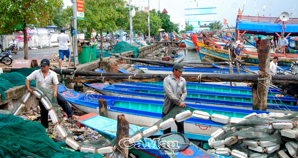 Do giá dầu tăng và khan hiếm nguồn cung nên nhiều phương tiện khai thác phải nằm bờ. Ảnh: Nguyễn Phú