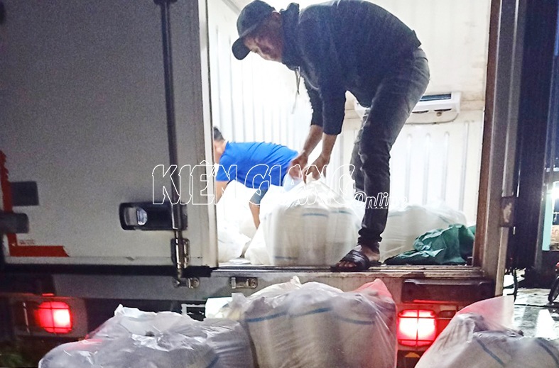Xe chở tôm giống không có giấy chứng nhận kiểm dịch. Ảnh: Văn Phụng