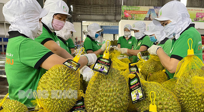 Giá hàng hóa và dịch vụ có xu hướng tăng là các nguyên nhân chính làm chỉ số giá tiêu dùng (CPI) tháng 11/2021 tăng 0,32%. Ảnh minh họa