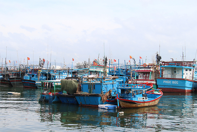 Ưu đãi đầu tư đặc biệt cho doanh nghiệp. Ảnh: HL