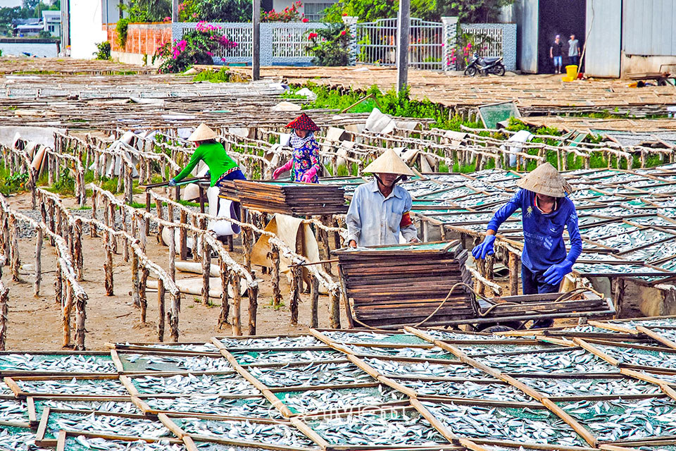 Do dịch bệnh, đầu ra không ổn định nên giá các loại thuỷ sản khai thác trên địa bàn thị trấn Sông Ðốc giảm so với cùng kỳ năm 2020. Ảnh: Hoàng Vũ