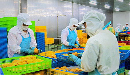 Huyện Châu Thành A tạo thuận lợi cho doanh nghiệp phát triển. Ảnh: NH