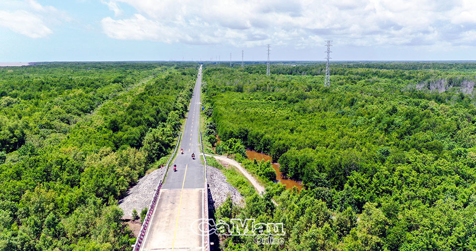 Đường Hồ Chí Minh trên địa bàn tỉnh Cà Mau nhỏ, hẹp, xuống cấp, không thể đảm đương cho vận chuyển chuyển hàng hoá, phương tiện lớn lưu thông để phát triển kinh tế biển, kinh tế du lịch, kinh tế thủy sản…Ảnh: TN