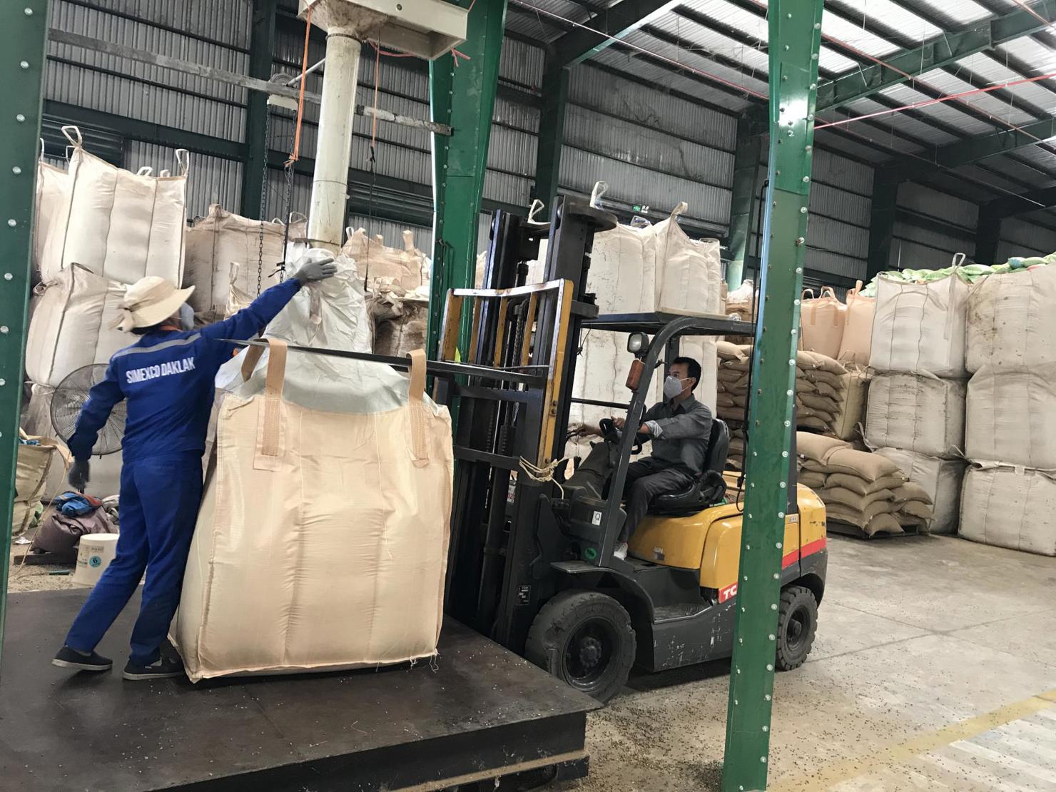 Trong xưởng chế biến cà phê xuất khẩu tại Công ty TNHH MTV Xuất nhập khẩu 2-9 Đắk Lắk. Ảnh: Đỗ Lan