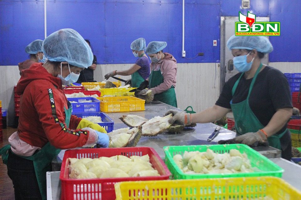 Trái cây tươi của tỉnh có sản lượng lớn, nhưng thị trường xuất khẩu chưa được mở rộng. Ảnh: Lê Dung