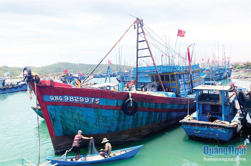 Tàu cá của ngư dân phải đăng kiểm đúng thời gian quy định và hoạt động đúng ngành nghề đã đăng ký. Ảnh: Mỹ Hoa