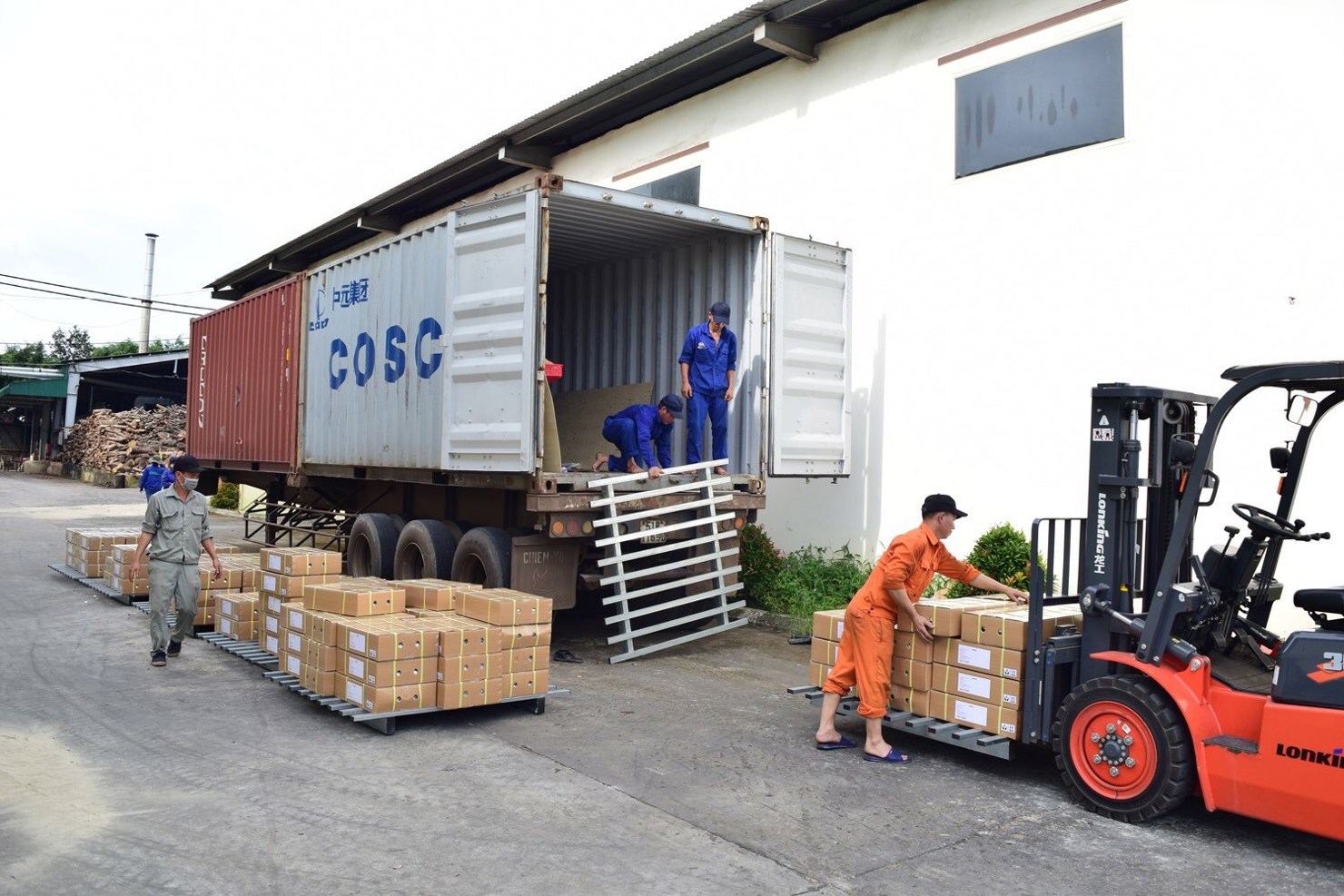 Vận chuyển hàng hóa phục vụ xuất khẩu tại Công ty Cổ phần Đầu tư và Phát triển An Thái. Ảnh: Đỗ Lan