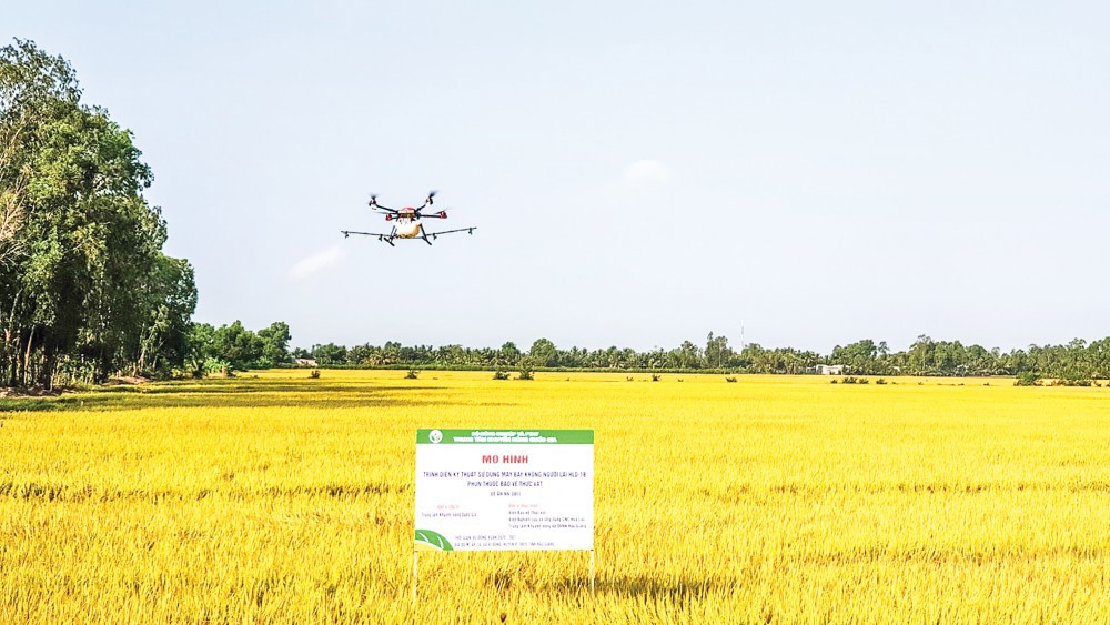 Mô hình trình diễn kỹ thuật máy bay không người lái HLD-18 phun thuốc bảo vệ thực vật tại huyện Vị Thủy, tỉnh Hậu Giang. Ảnh: Mỹ Thanh