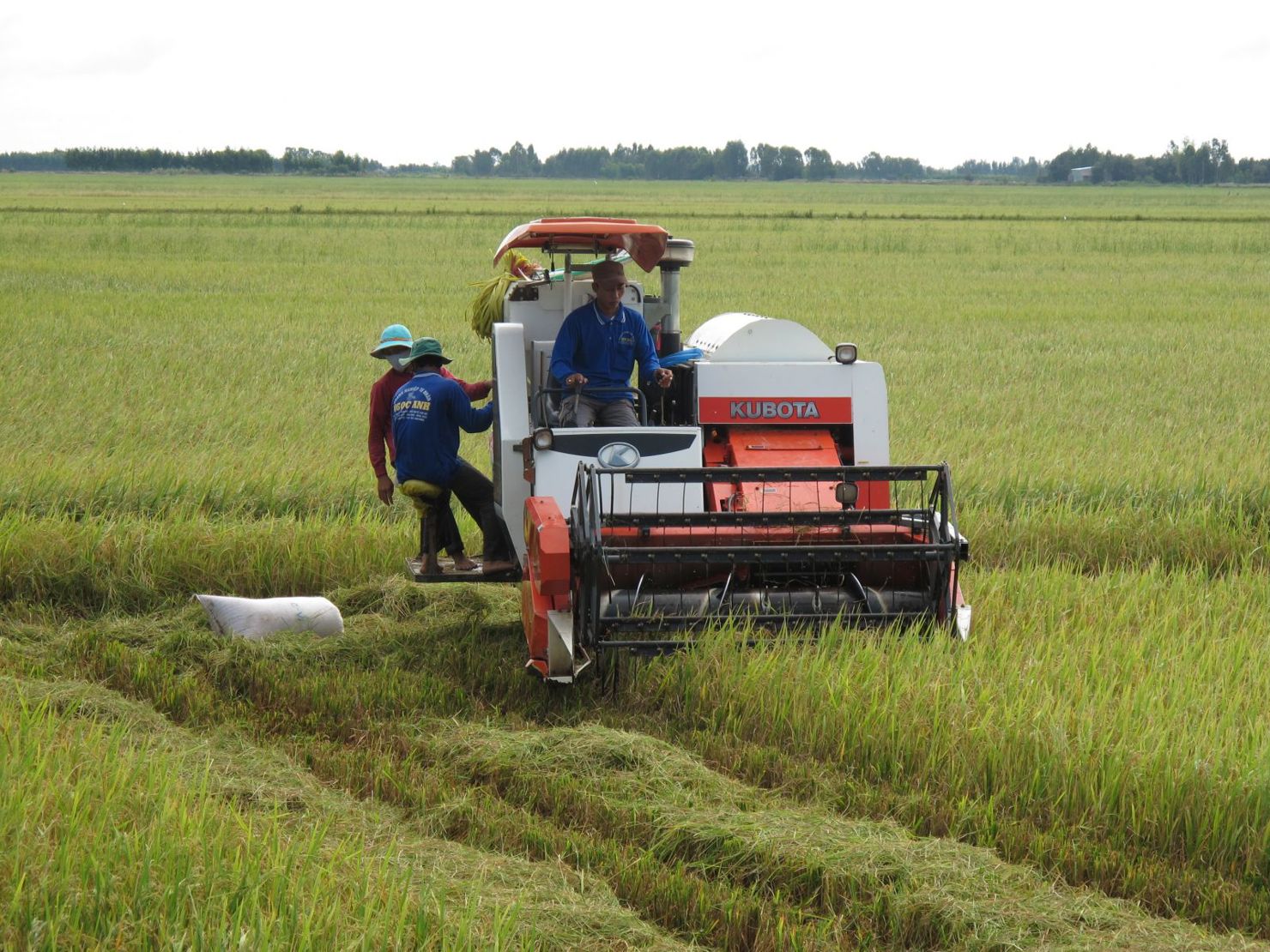 Kinh tế tập thể đã góp phần thay đổi phương thức sản xuất cũ, tạo được chuỗi liên kết và đầu ra ổn định hơn cho nông sản. Ảnh: Lê Đức