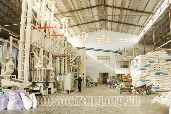 Hạt gạo góp phần làm nên kim ngạch xuất khẩu 1,150 tỉ USD (ảnh chụp trước thời điểm dịch Covid-19 bùng phát). Ảnh: Tích Chu