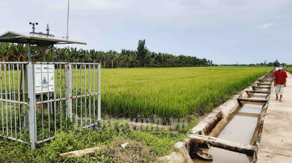 Quy định về điều kiện tách thửa, hợp thửa đất. Ảnh minh họa