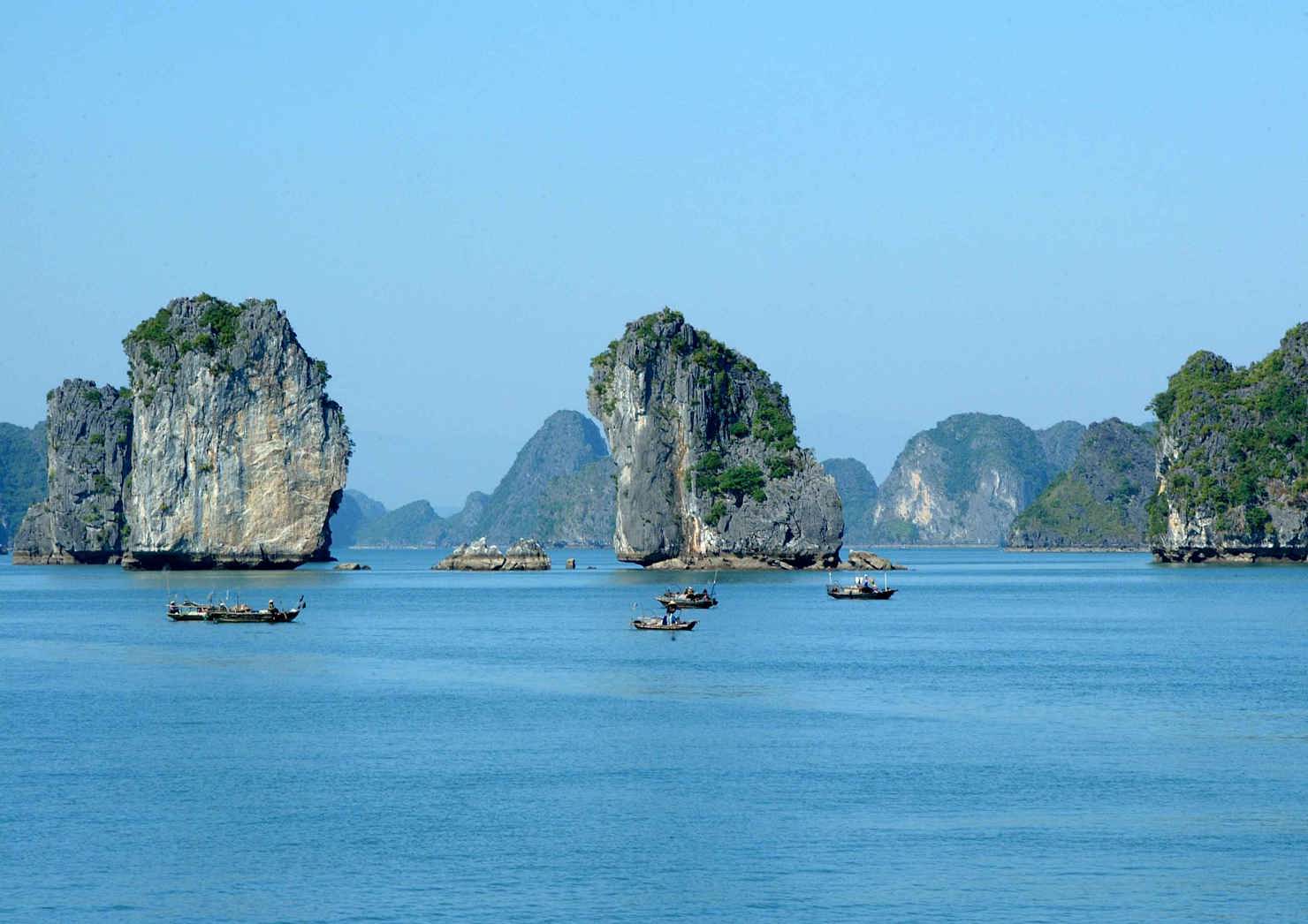 Ảnh minh họa. Nguồn: internet