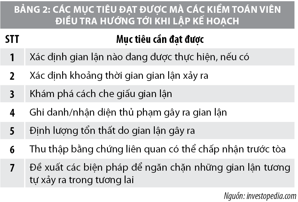 Thực hiện kiểm toán điều tra và những yêu cầu đặt ra đối với kiểm toán viên  - Ảnh 2