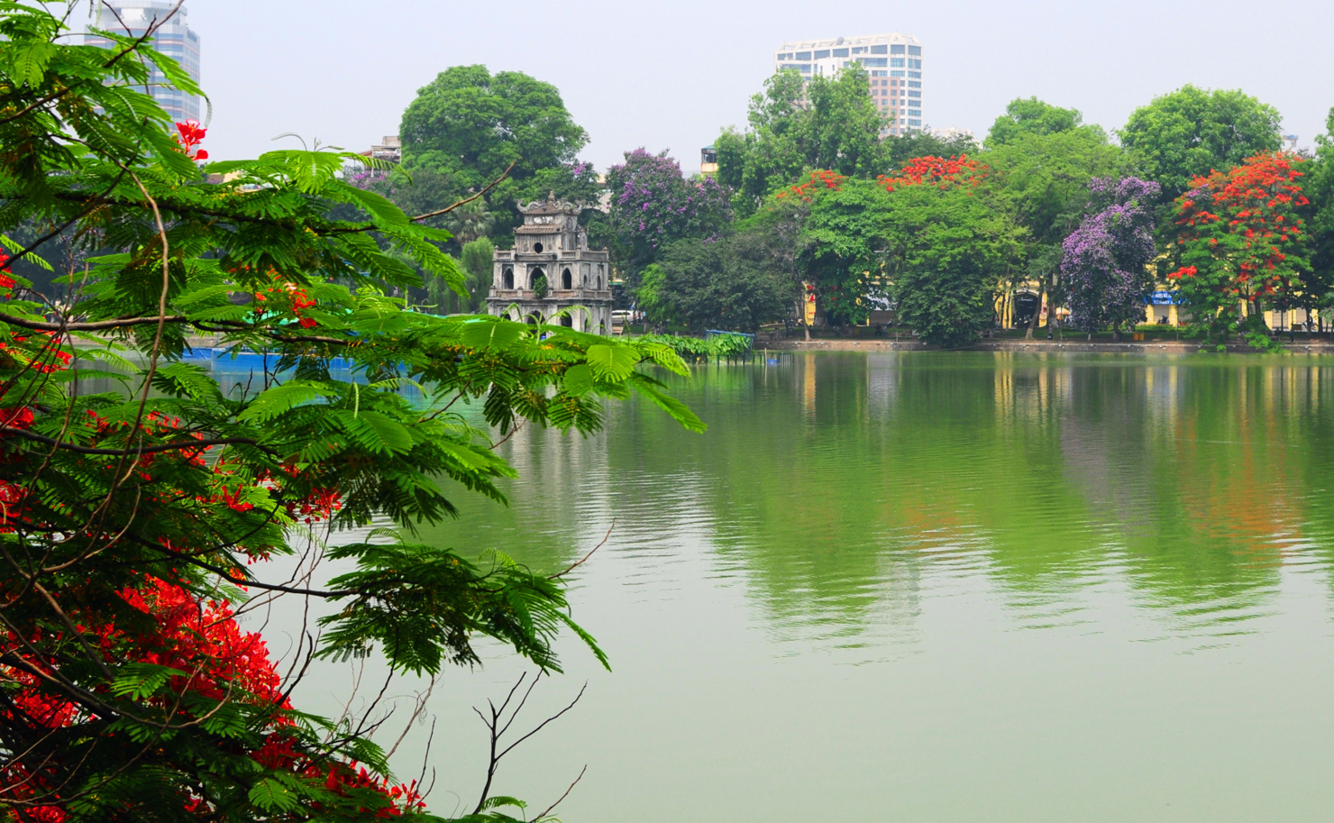 Ảnh minh họa. Nguồn: Internet.