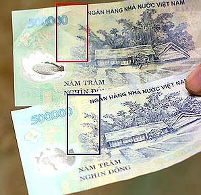 Ảnh minh họa. Nguồn: Internet.