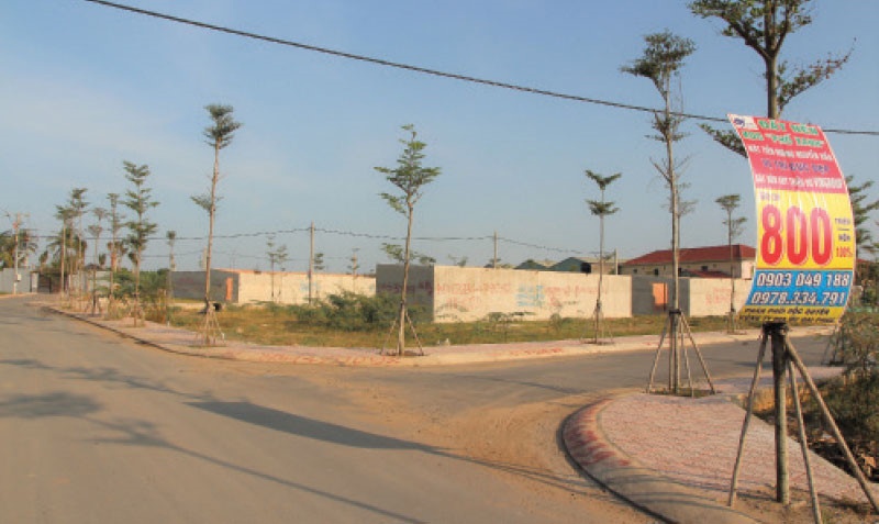 Ảnh minh họa. Nguồn: internet