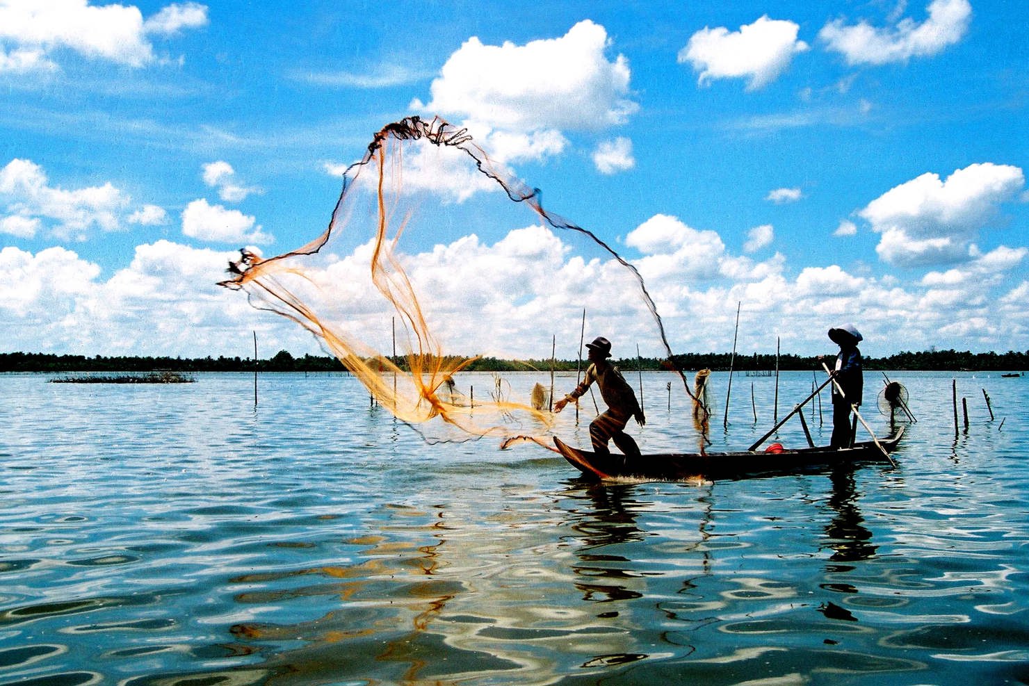 Ảnh minh họa. Nguồn: internet